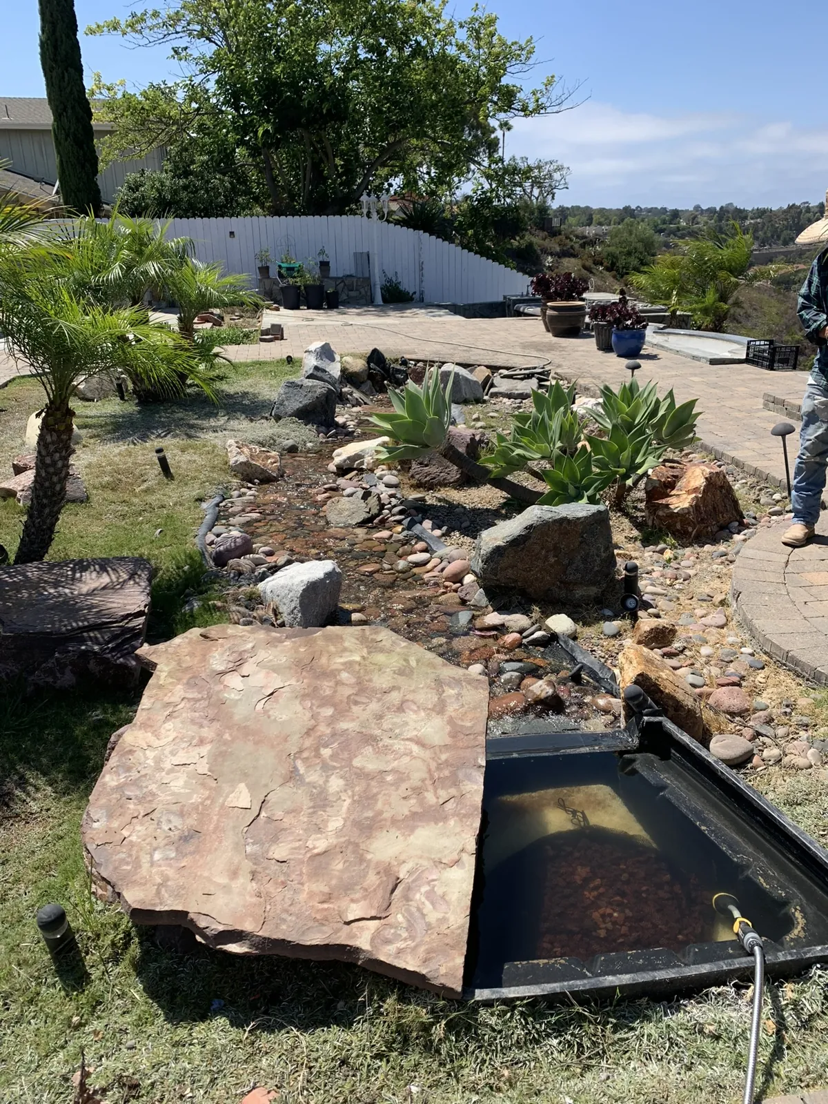 Fountain & Rock Garden