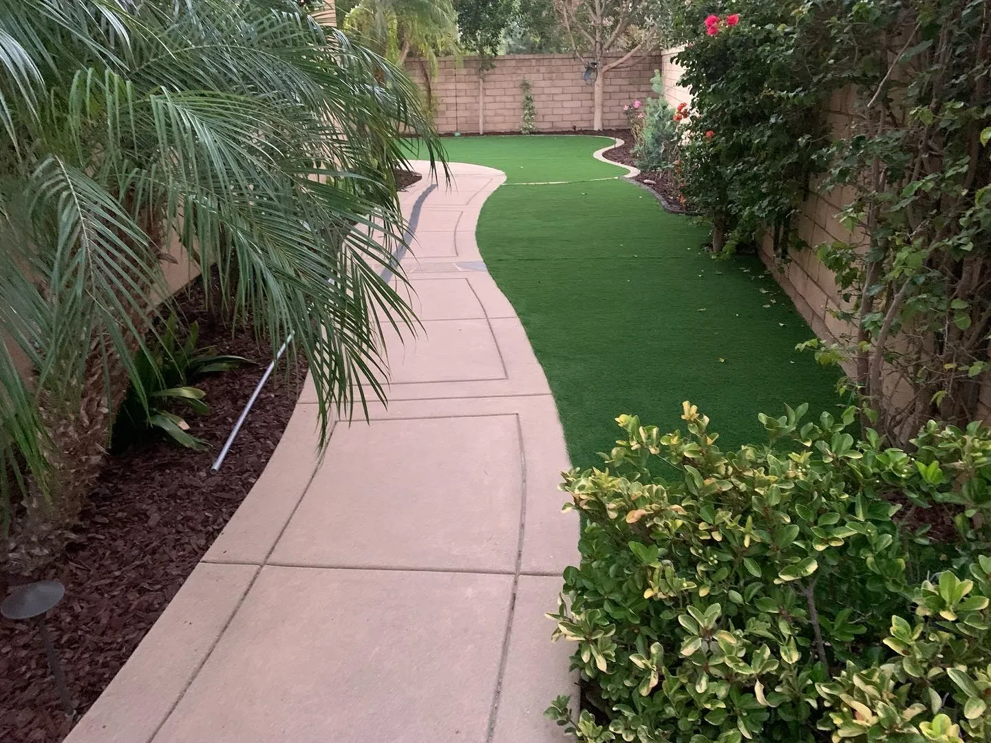 Courtyard Landscape