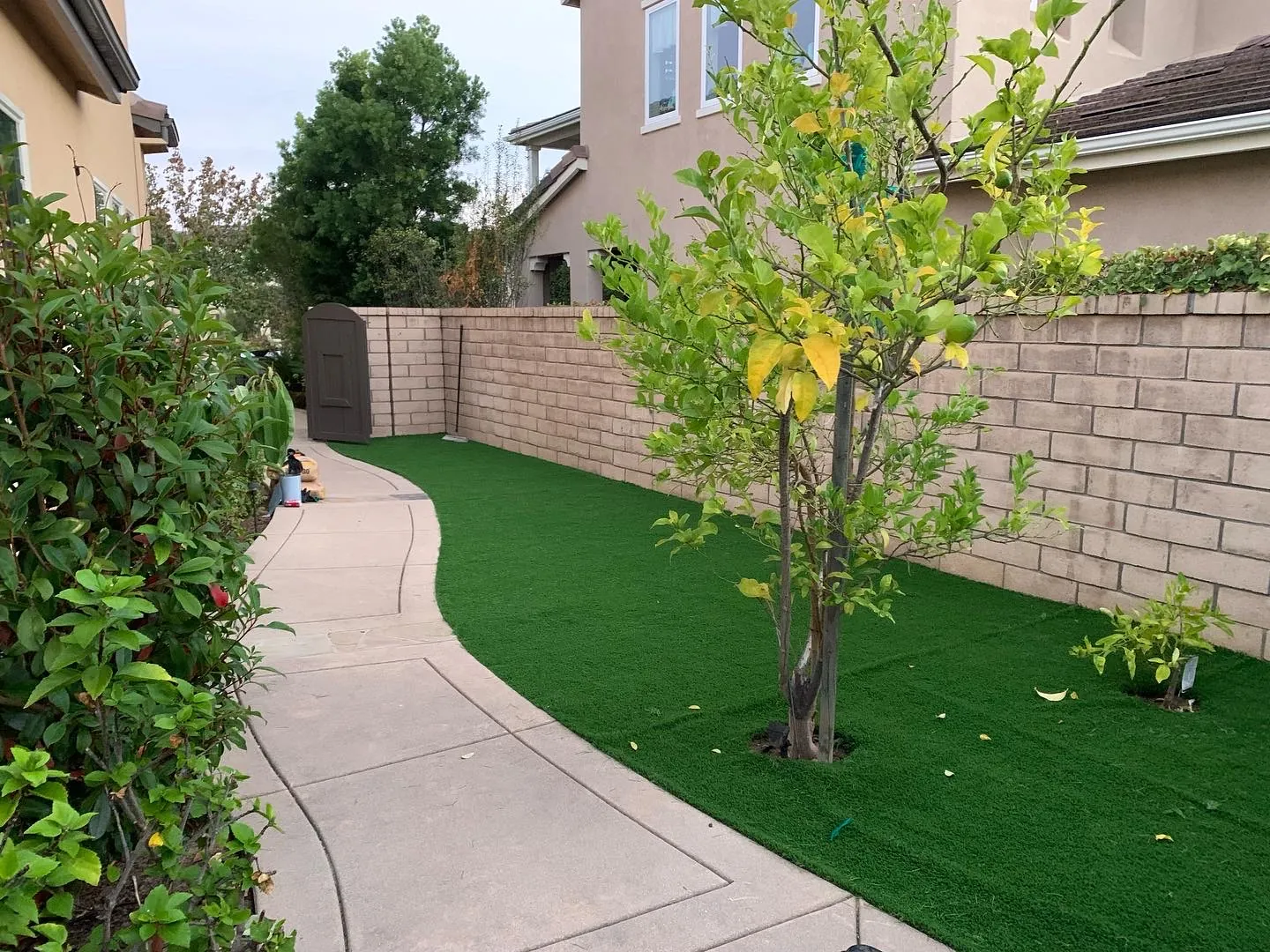 A Way to Garden