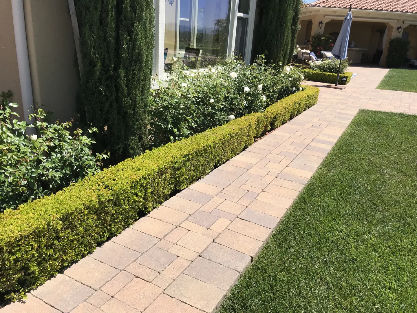 A lawn bordered by hedges
