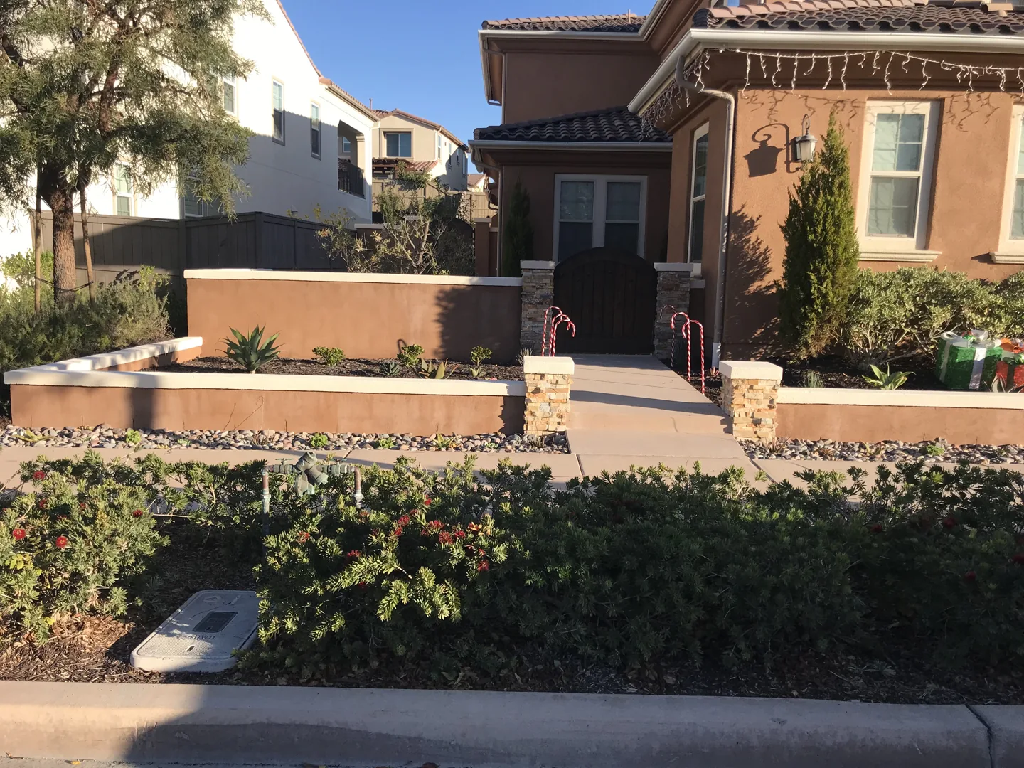 A raised planter at the front boundary
