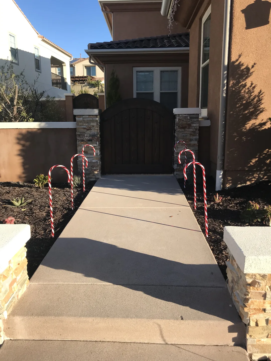 Paving and steps at the entrance